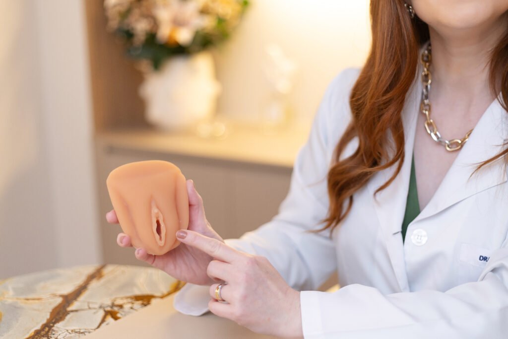 formatos-vulva-cirurgia-intima-dra-veruska-barijan-ginecologista-sao-paulo